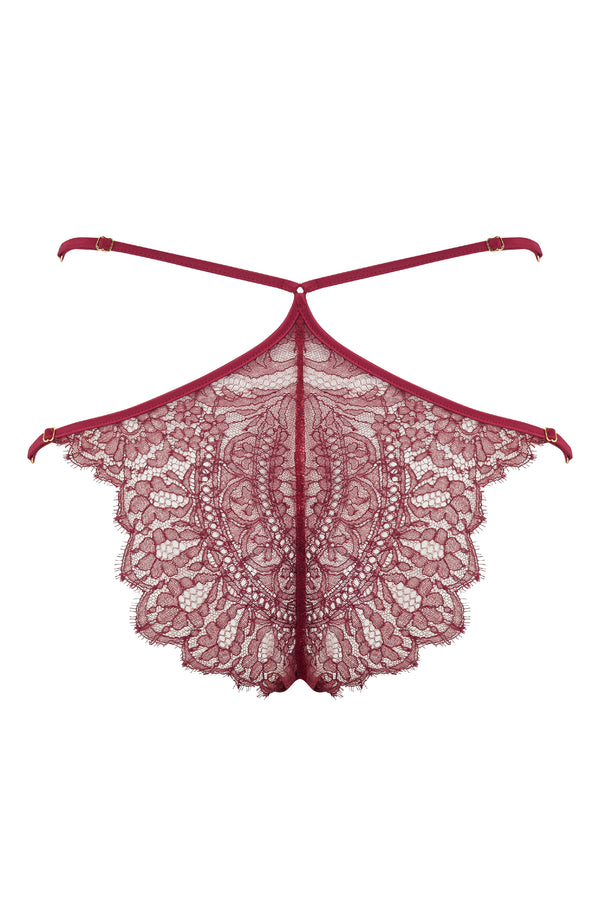 Rosalia designer lace brief in red sheer lace and stretch satin
