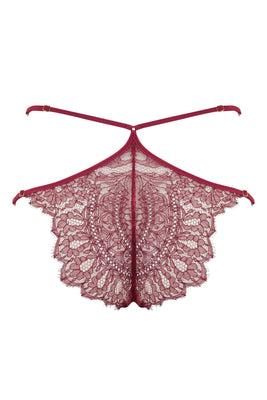 Rosalia designer lace brief in red sheer lace and stretch satin 