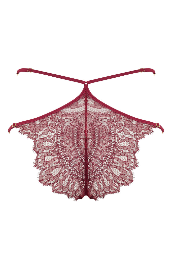 Rosalia designer lace brief in red sheer lace and stretch satin 