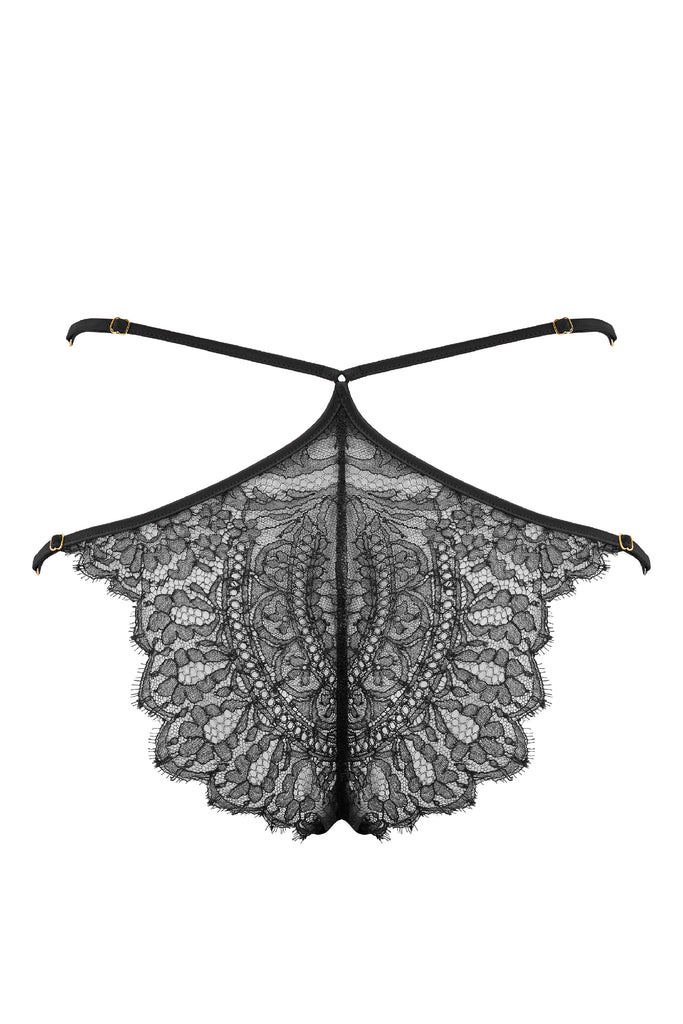 Rosalia designer lace brief in black  sheer lace and stretch satin